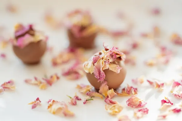 JokerBet Casino 안드로이드/iOS 앱